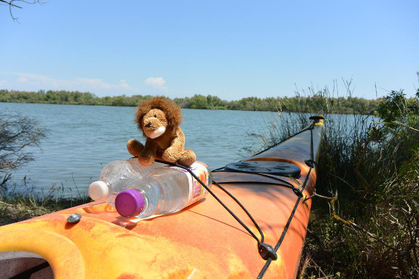 Cékalomi nargue les kayakistes assoiffés (il fait chaud)