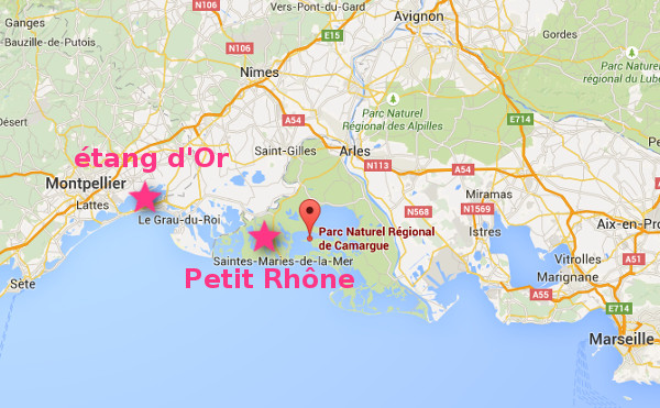 Camargue : plan de situation régional