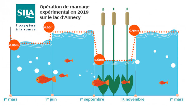 Marnage sur le Lac d'Annecy